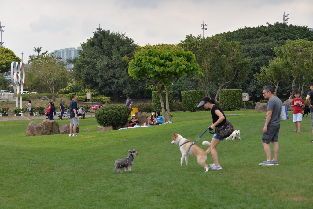 彭福公園亦是寵物友善公園。資料圖片