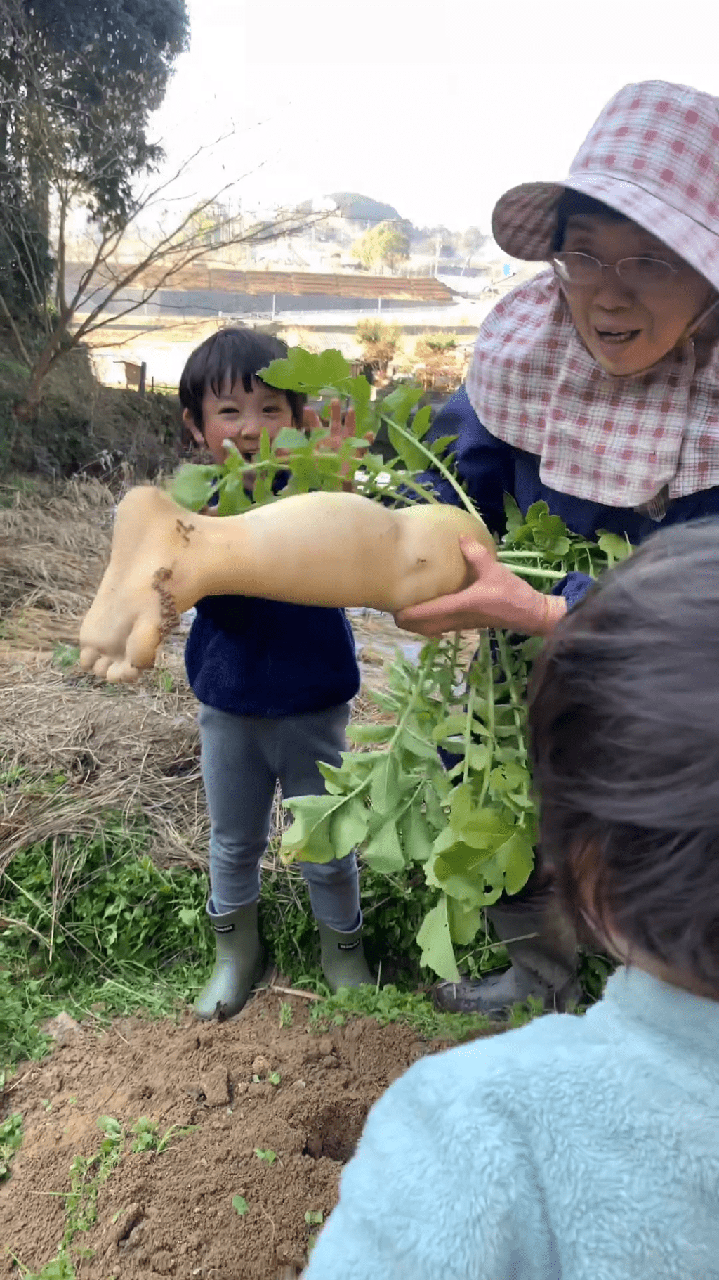 農夫向小童展示「蘿蔔腳」