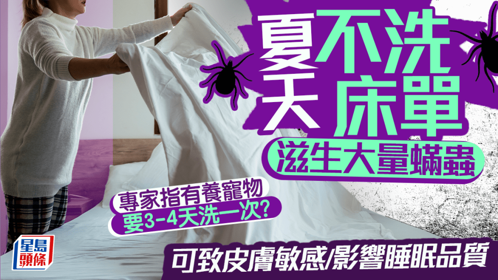夏天不洗床单滋生大量螨虫 可致皮肤敏感/影响睡眠品质 专家指有养宠物要3-4天洗一次？