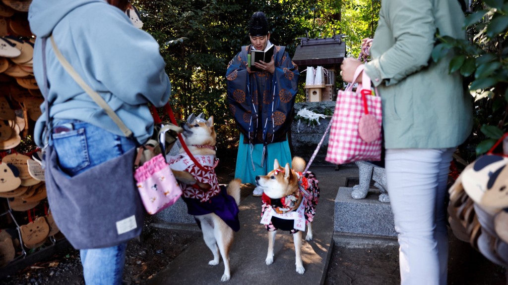 座間神社宮司平賀允教為狗狗們祈禱。 路透社