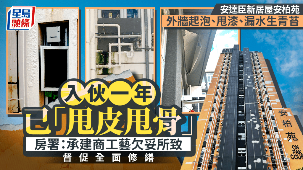 安达臣居屋入伙仅一年 外墙起泡、渗漏兼甩漆 业主失望 房署：严肃督促承建商修缮