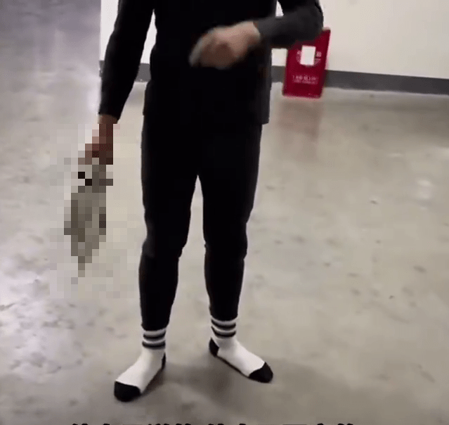 冷血教官手單手拿起將貓摔下來。 冷血教官手單手拿起將貓摔下來。