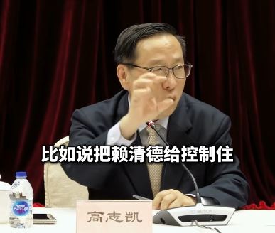 高志凱倡議台灣發動「西安事變2.0」，扣賴清德解決台灣問題。觀察者網