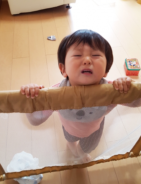 （圖片來源：PhotoAC）