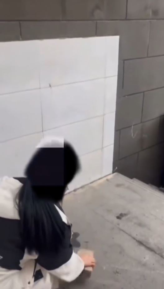 鄭州有教師逼中學生用磚頭砸爛手機惹來批評。抖音@麟州草根