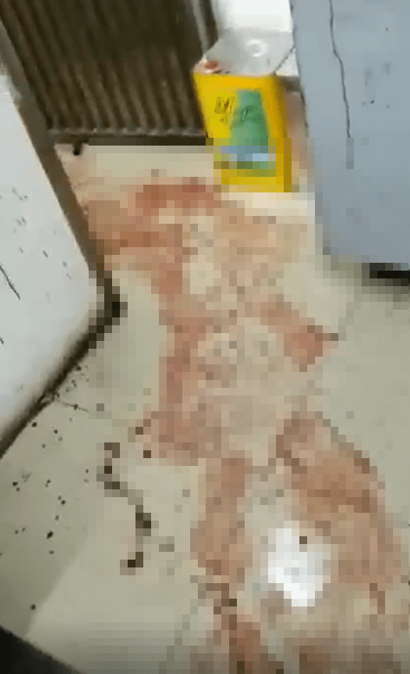 小食店的地面血迹斑斑。影片截图