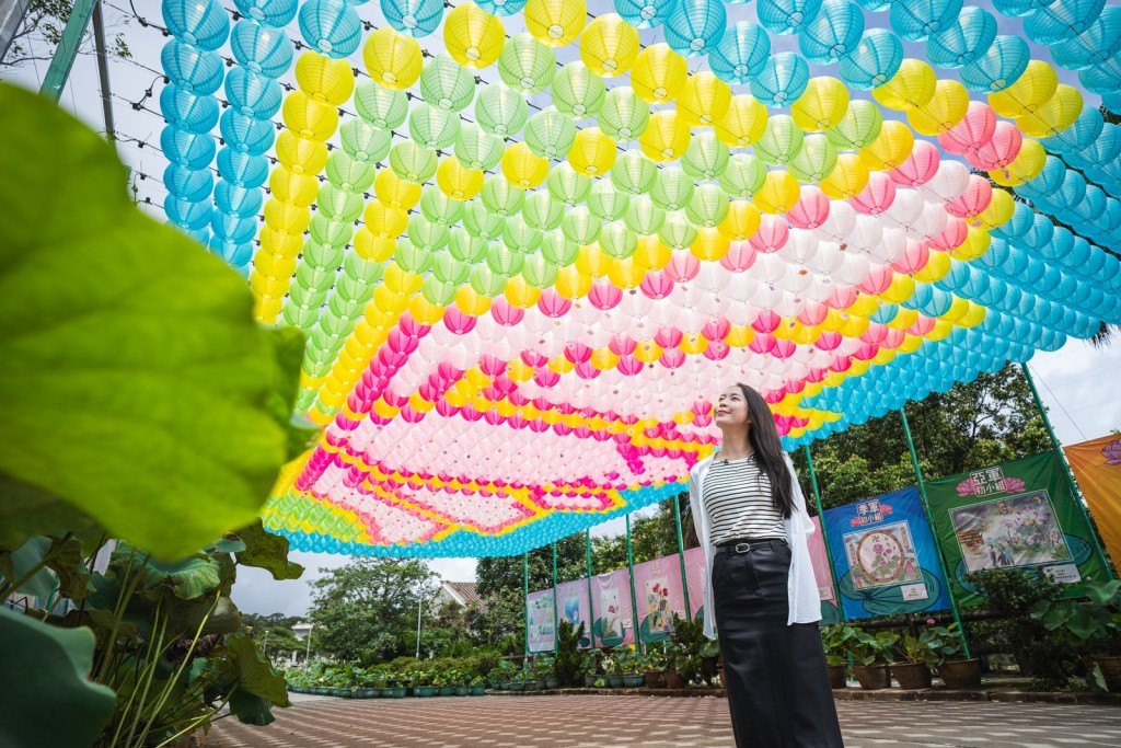 中間大道上以燈籠組成荷花圖案,是必影打卡位之一。