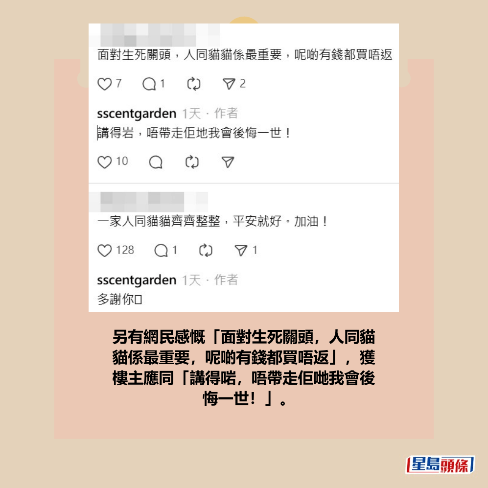 Threads截圖（資料來源：sscentgarden＠Threads）