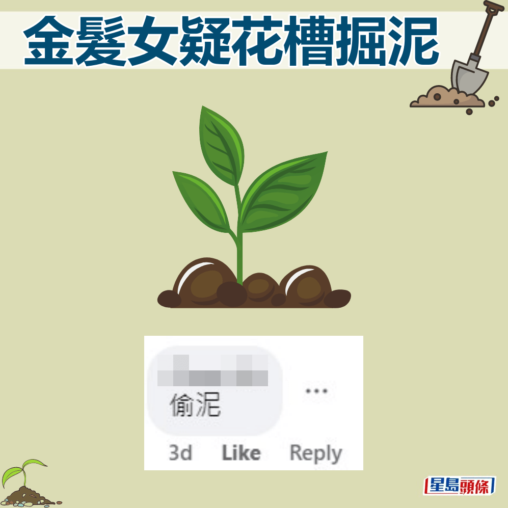 网民：偷泥。fb“筲箕湾西湾河关注组”截图