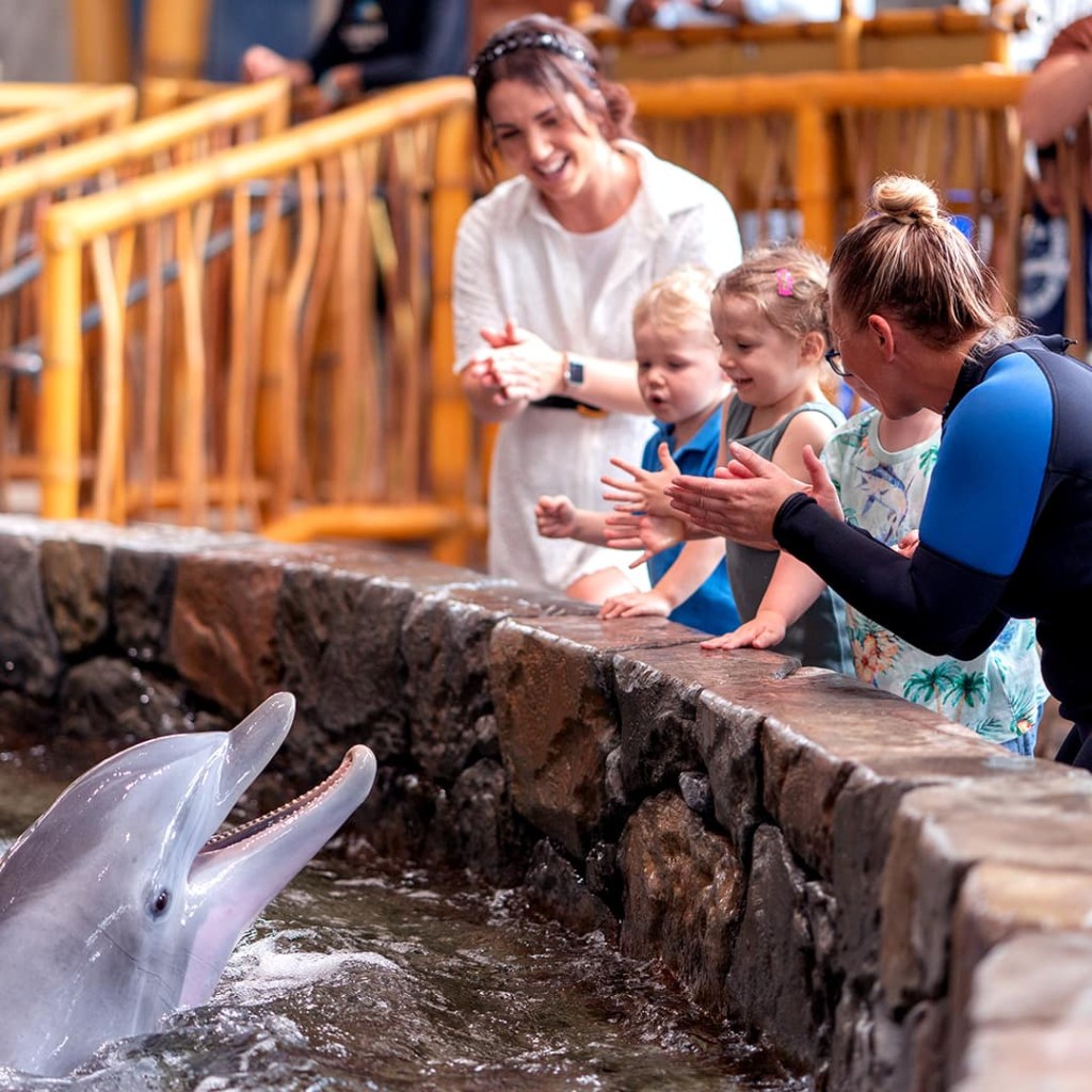 在海洋世界主題樂園一樣可見到可愛的小海豚！（圖片來源：EGL）