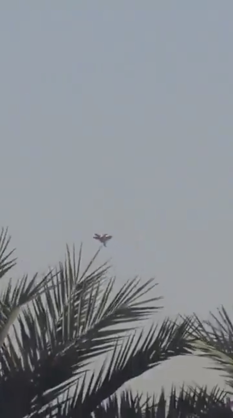 网传影片显示疑似美军F-15如自由落体般坠下。 X@RbtGil 网传影片显示疑似美军F-15如自由落体般坠下。 X@RbtGil