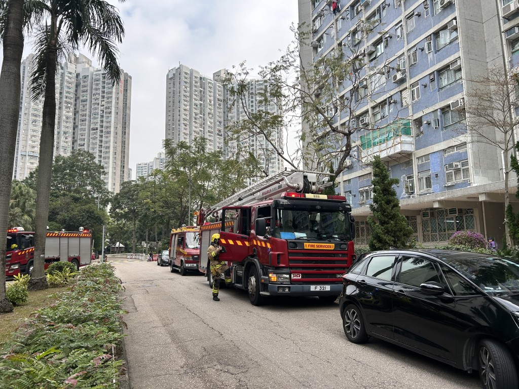 消防到場開喉將火救熄。