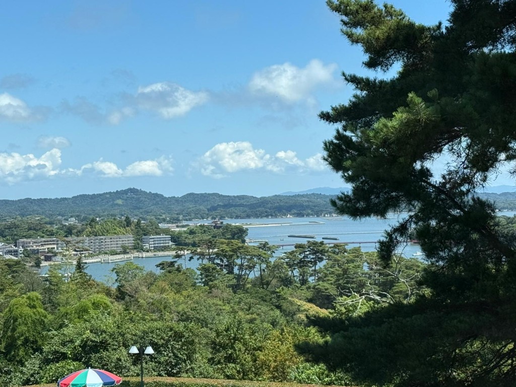 東北旅遊團在酒店範圍內拍攝對出的照片。縱橫遊供圖 東北旅遊團在酒店範圍內拍攝對出的照片。縱橫遊供圖