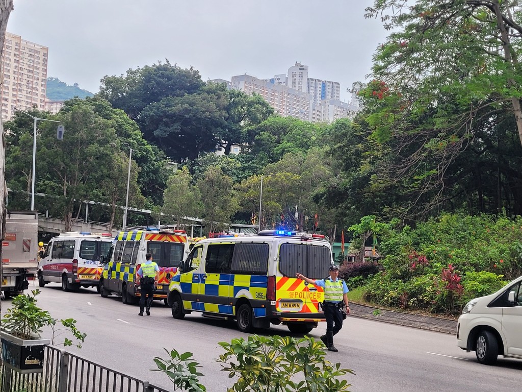 fb青衣街坊吹水會圖片 fb青衣街坊吹水會圖片