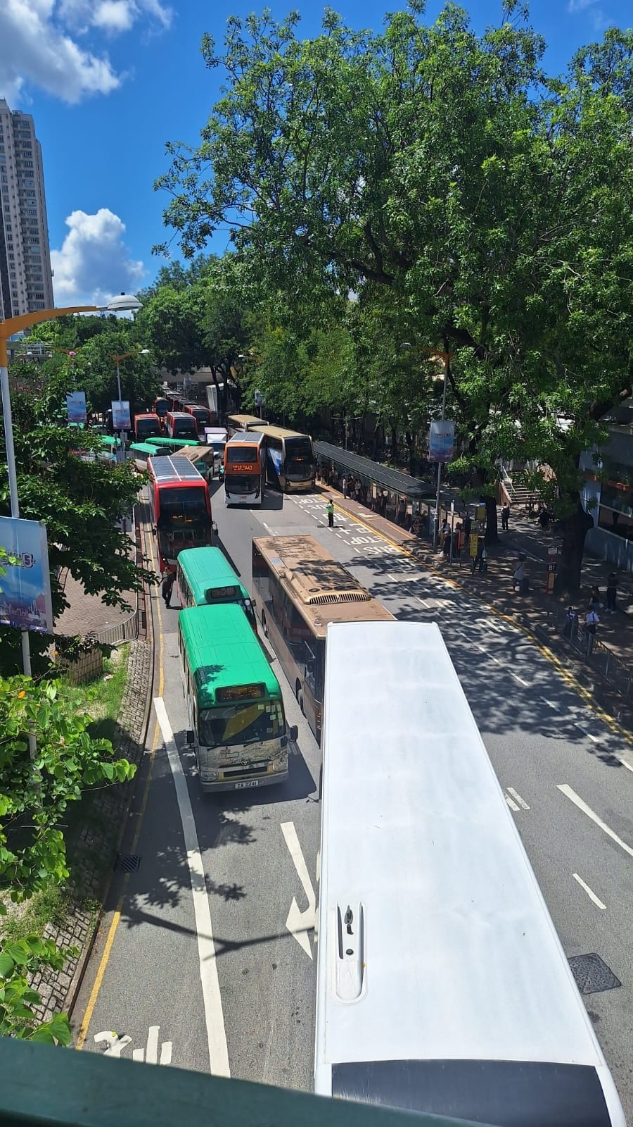上水區大塞車。網上圖片 上水區大塞車。網上圖片