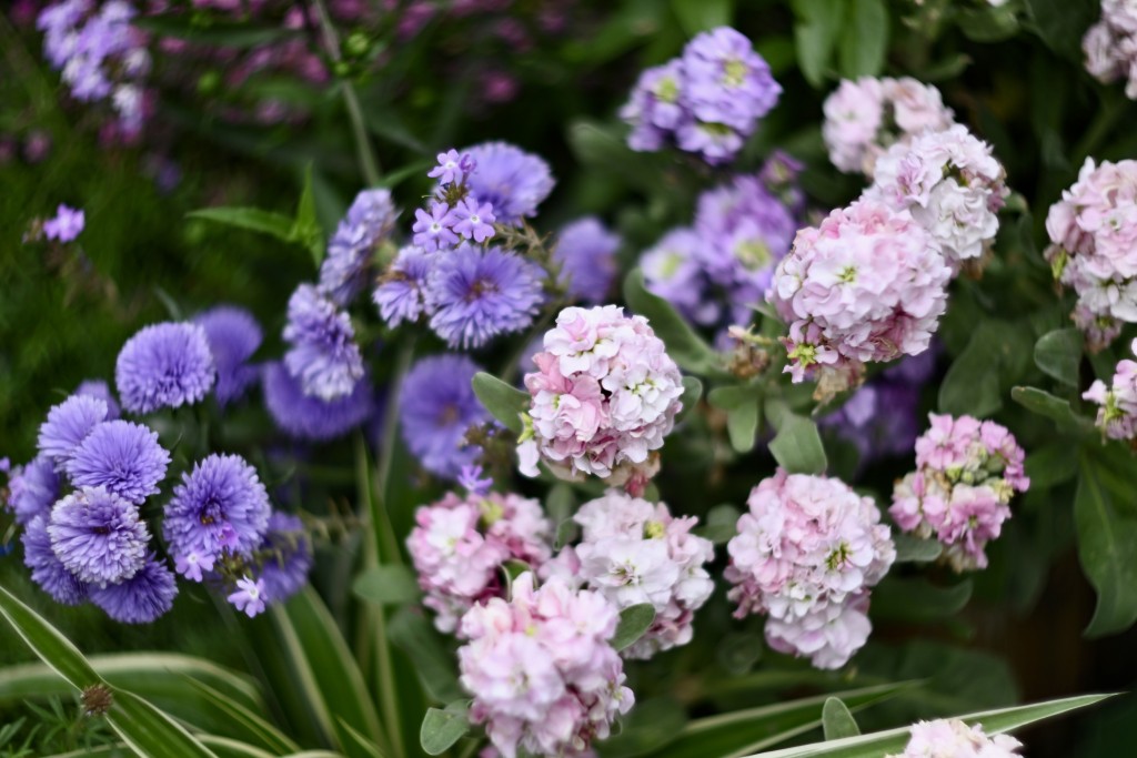 今年花展共有超過80個來自不同國家及地區的團體參展,他們呈獻匠心獨運的園林造景與花藝作品。 今年花展共有超過80個來自不同國家及地區的團體參展,他們呈獻匠心獨運的園林造景與花藝作品。