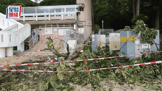 地政總署署長黎志華表示,過去1年曾經因為樹木承辦商處理危險樹木不當,被禁止參與招標半年,署方計劃未來會在新的招標條款「加辣」,要求承辦商加快處理危險樹木個案。資料圖片