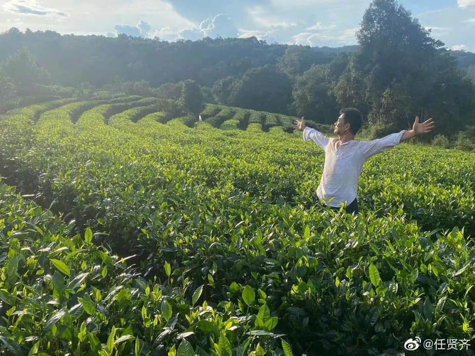 網民笑指他似拍茶葉廣告。