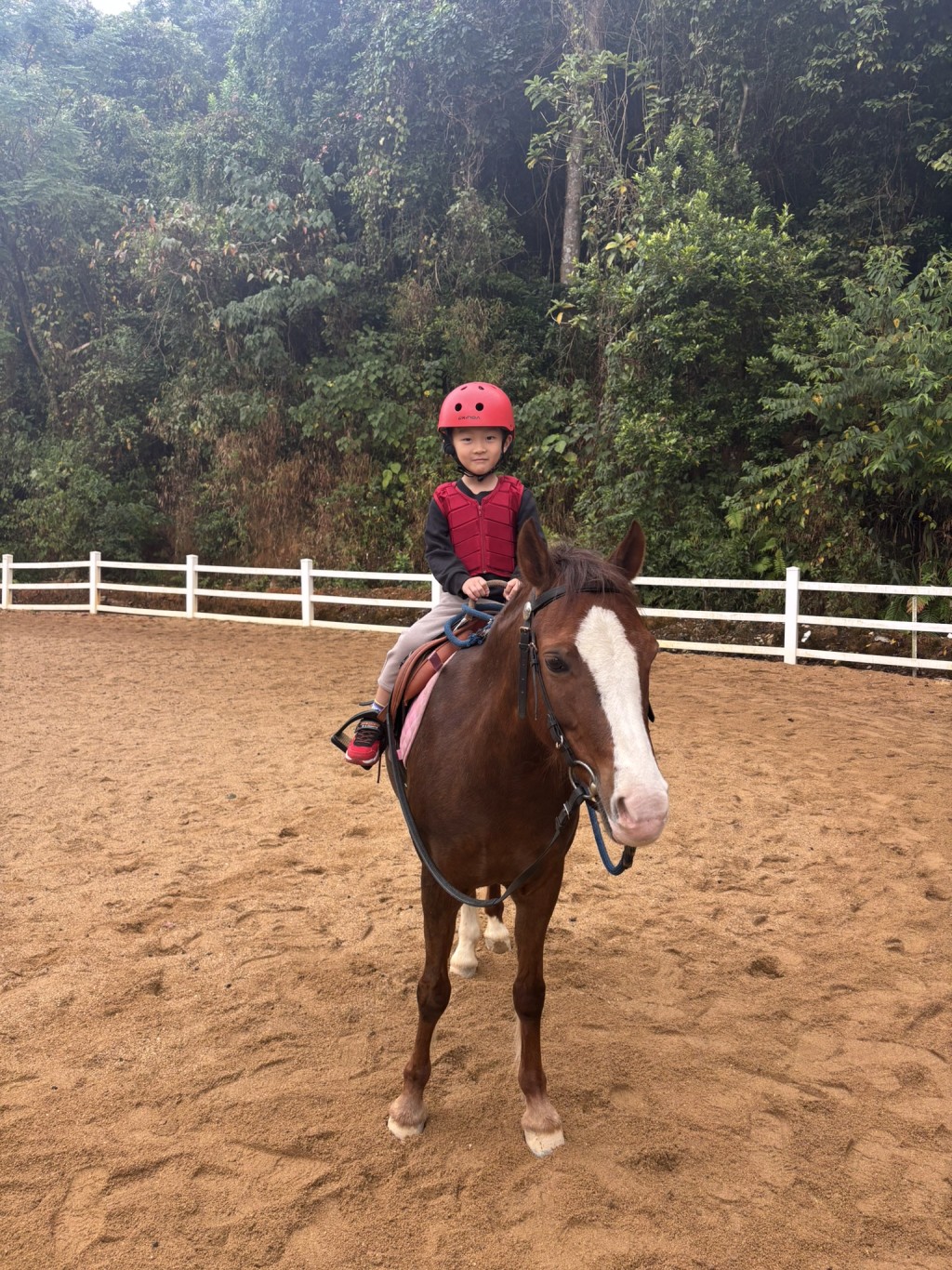 馬年親子好去處2026｜小朋友騎馬仔會提供安全裝備，馬兒屬小型馬，亦有職員牽引，無經驗也可試騎，農曆新年可以應應節。（圖片來源：《親子王》）