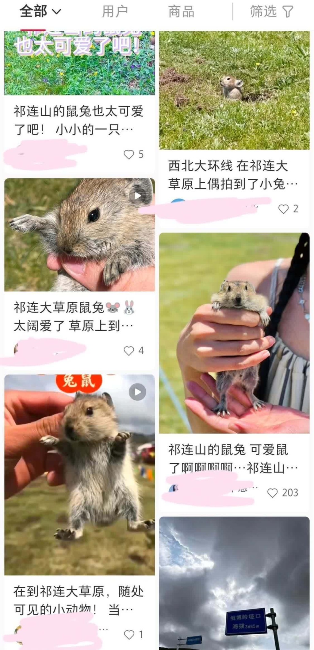 遊客在社交平台曬出手持高原鼠兔的圖片。