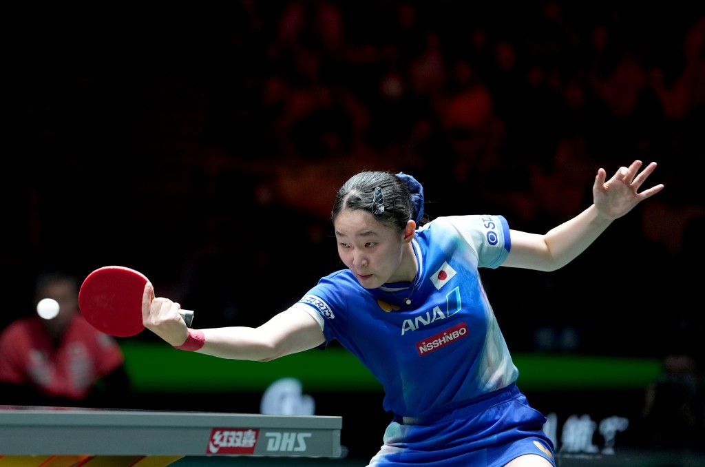 朝鮮　堅手　盃 Bayern Munich 2017-18 Home Football Jersey LEWANDOWSKI #9 Adidas