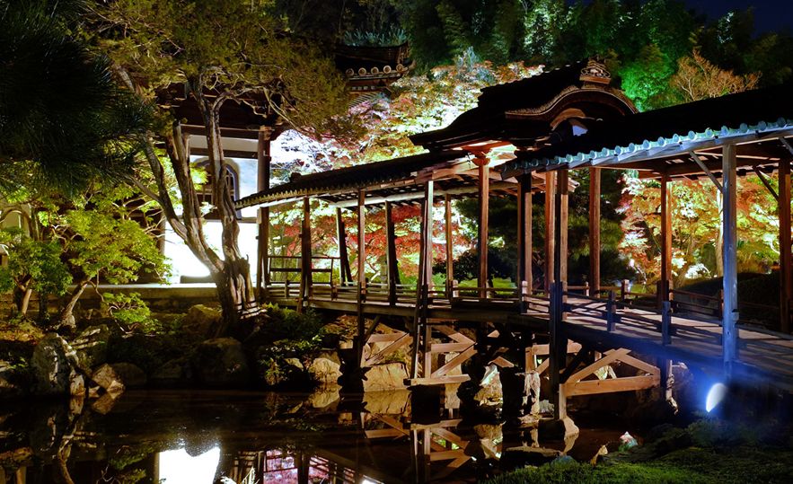夜游高台寺，可赏到梦幻般的秋色。