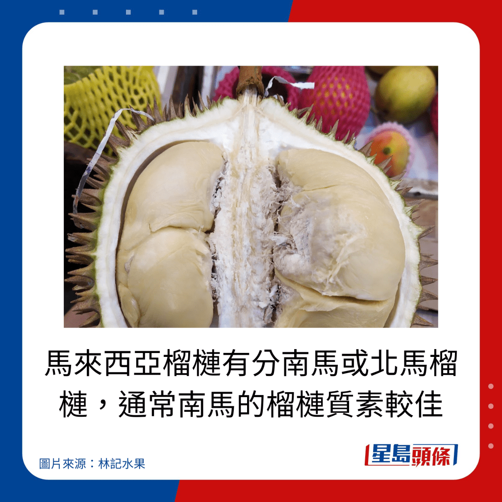  揀榴槤貼士｜馬來西亞榴槤有分南馬或北馬榴槤，通常南馬的榴槤質素較佳。