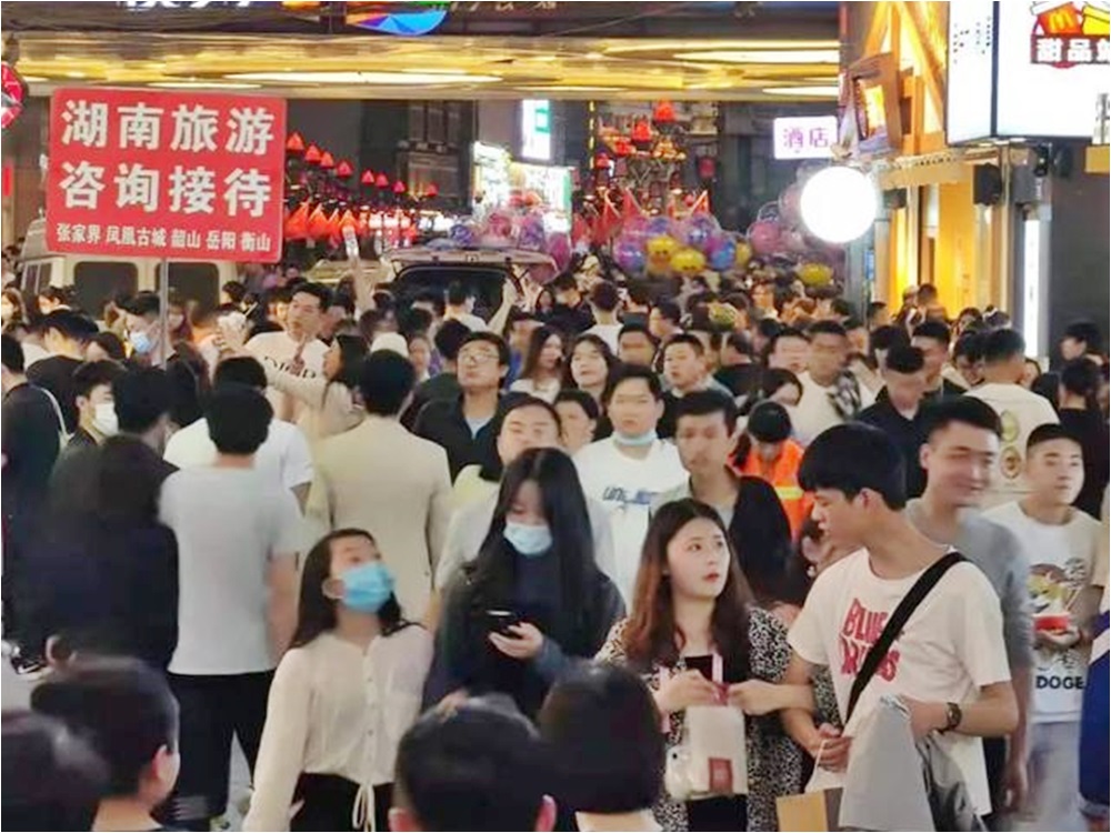 網圖