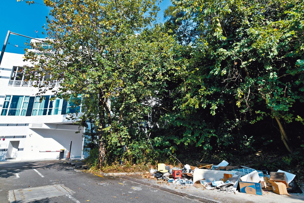 荃灣寶豐路住宅地於昨日截標，共接獲10份標書。