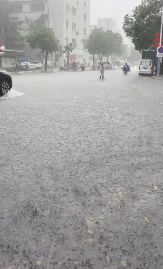 中山連日有暴雨，多處出現嚴重水浸。抖音＠一七五嚴選