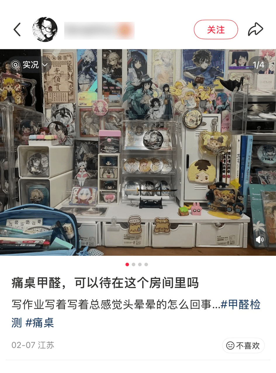 小红书网民分享痛屋。 小红书网民分享痛屋。