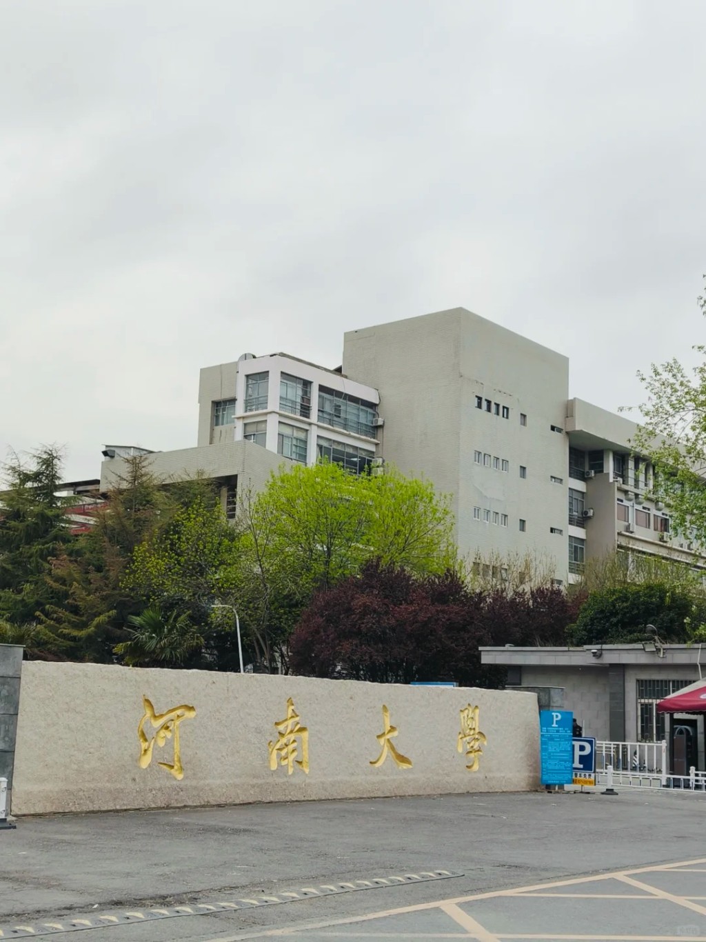 AI翻譯技術衝擊下，內地部份高校的外語專業已停止招生。小紅書