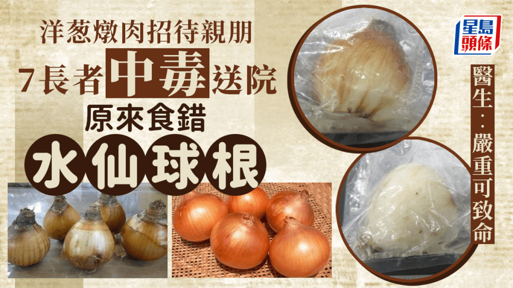誤將有毒「水仙球根」當洋葱煮食 日本7長者中毒入院