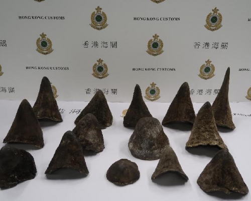 檢獲的犀牛角。海關圖片