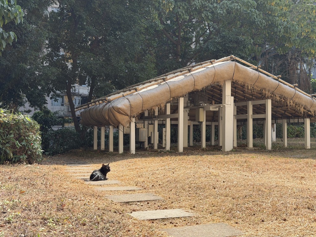 facebook截圖（資料來源：香港天文台 HKO facebook專頁）