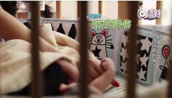 小海綿出鏡啦!