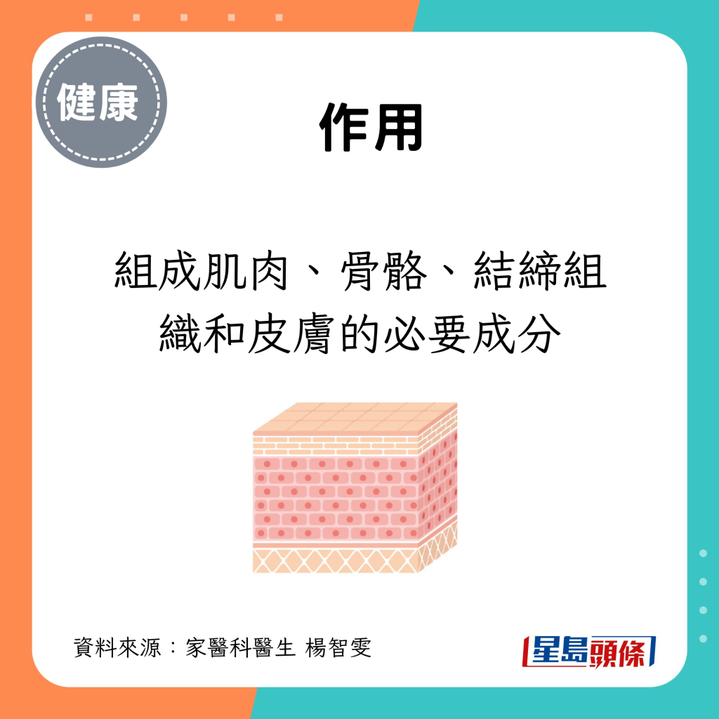 是組成肌肉、骨骼、結締組織和皮膚的必要成分