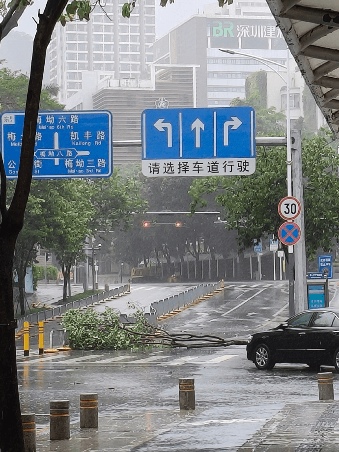 深圳市區狂風驟雨下樹木倒伏。