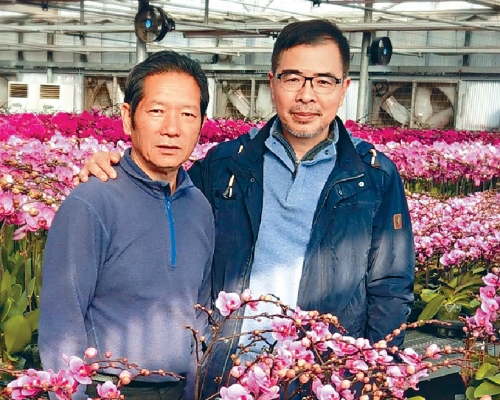大棧老細Sam哥（右）拔刀相助，幫老友楊小龍代賣蘭花。