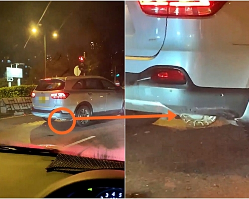 有網民好心提醒私家車車主注意有蛇出沒。facebook群組「馬路的事討論區」影片截圖。
