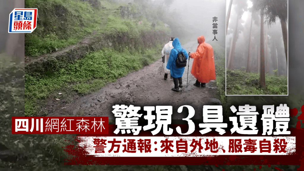 四川網紅森林驚現3具遺體,警方通報:來自外地、服毒自殺。