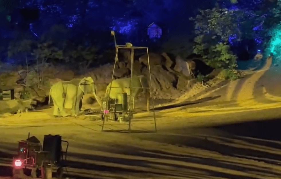 南萬歲山武俠城「打鐵花」表演中，兩隻登場的「大象」穿崩露人腳。 微博