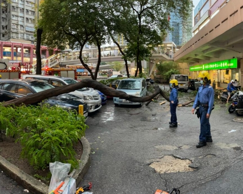荃灣有大樹倒塌擊中停泊私家車。