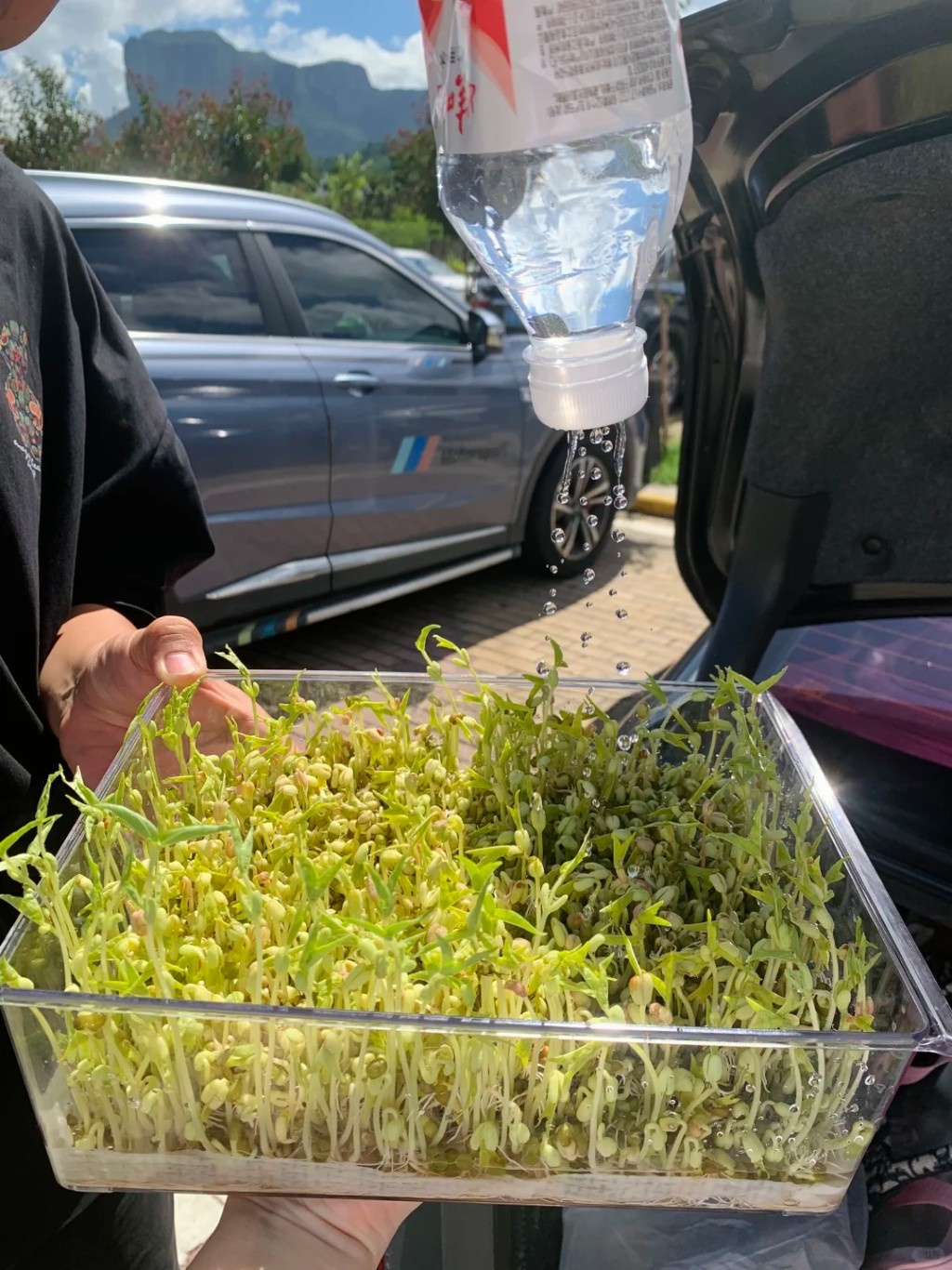 國慶長假中,許多家庭也要帶著綠豆芽出遊,讓孩子完成觀察日記功課。小紅書@落落大方女士 國慶長假中,許多家庭也要帶著綠豆芽出遊,讓孩子完成觀察日記功課。小紅書@落落大方女士