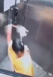 狗褓姆突然將Goosi摔死。X@ChalavadiVinod 狗褓姆突然將Goosi摔死。X@ChalavadiVinod