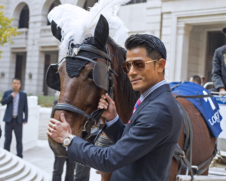 郭富城都是馬主