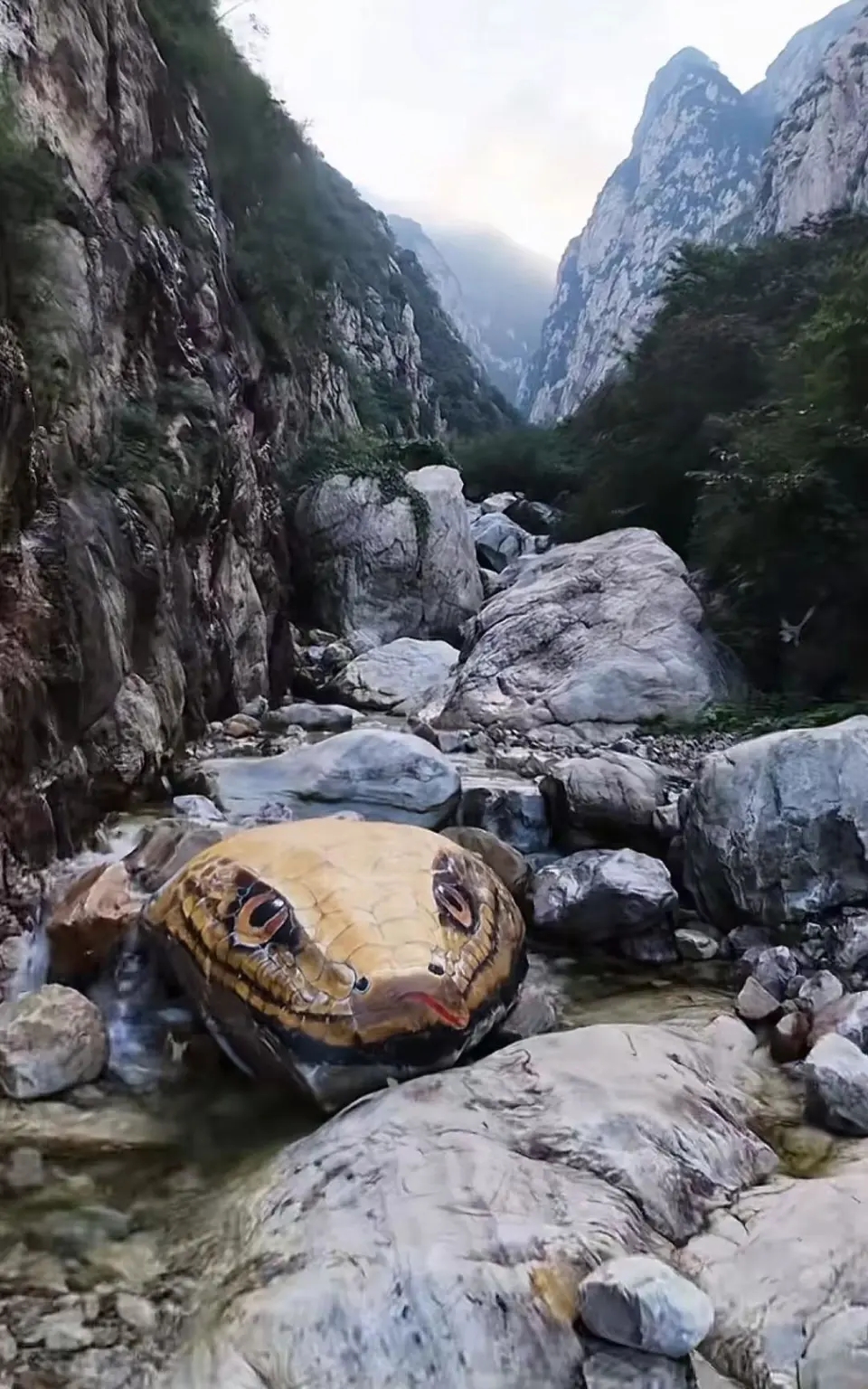 河南嵩山玉皇溝景區 「巨型蛇頭」彩繪,非常逼真。 河南嵩山玉皇溝景區 「巨型蛇頭」彩繪,非常逼真。