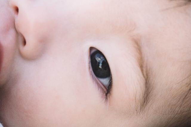 （图片来源：PhotoAC）