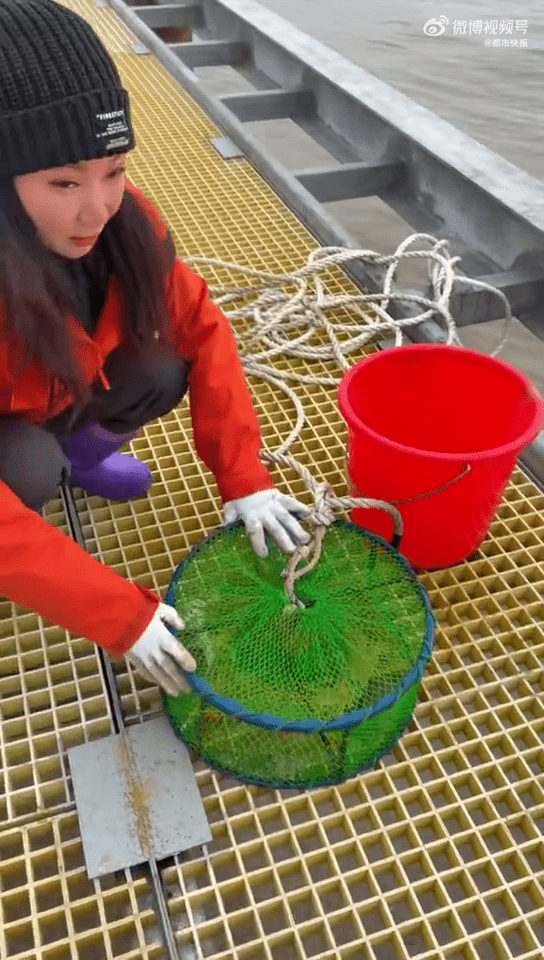 在北京做了20年房地產後到舟山「守島」。 在北京做了20年房地產後到舟山「守島」。