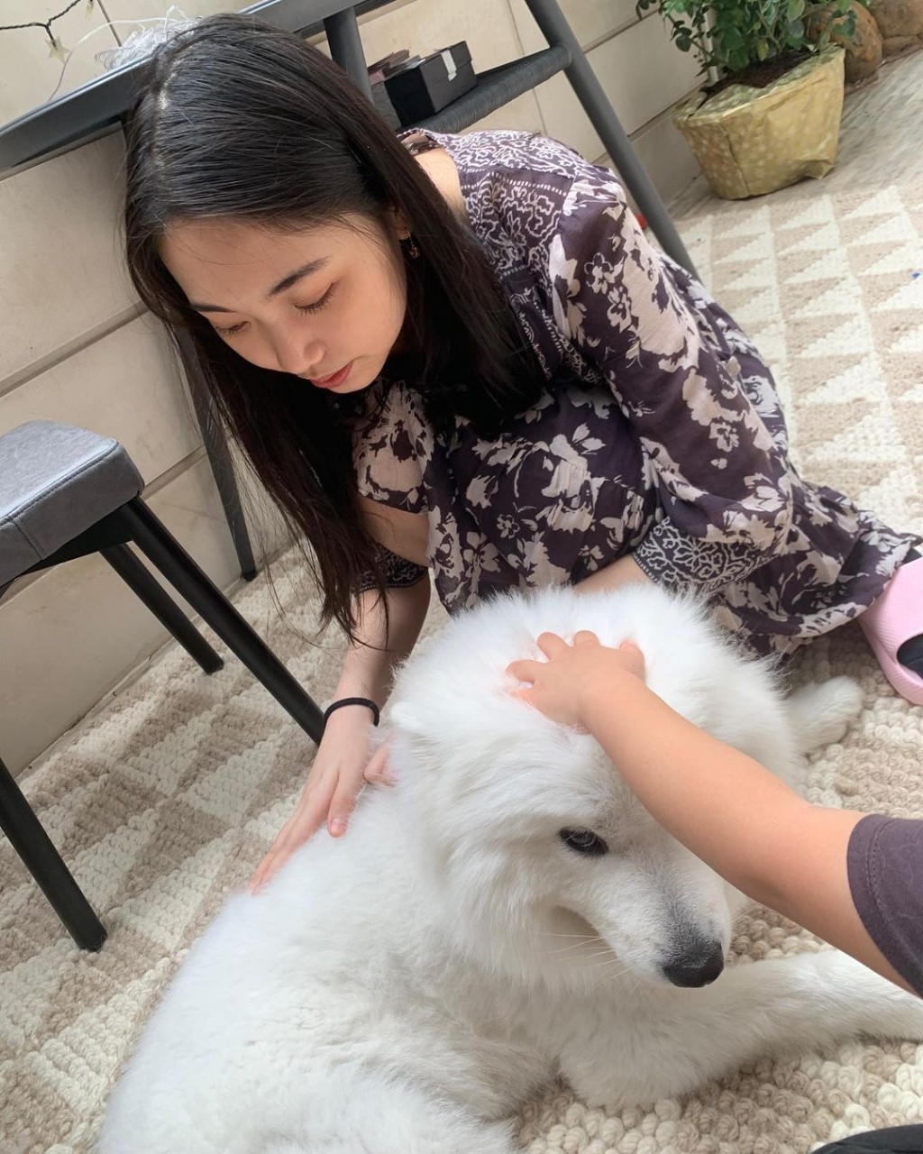 吴咏婷对住狗狗好温柔。